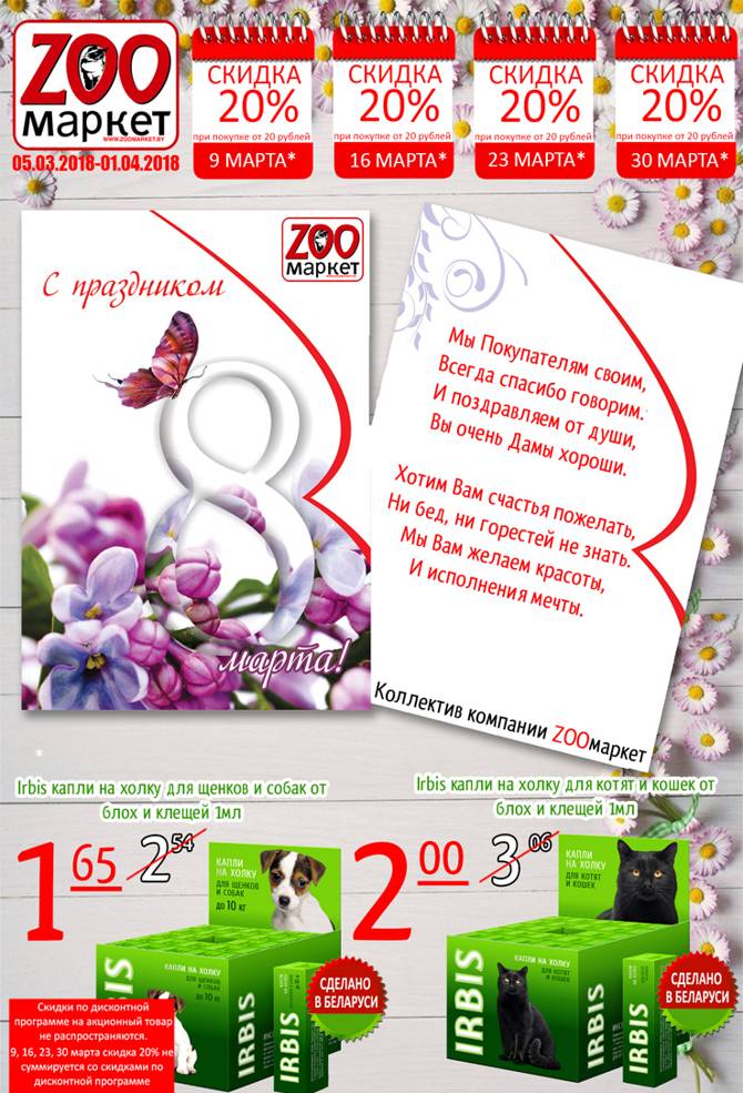 zoomarket 2702 1