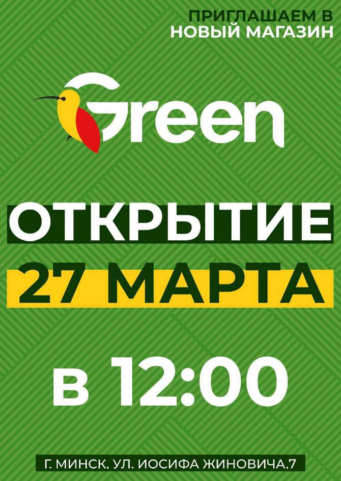 green 2003 04