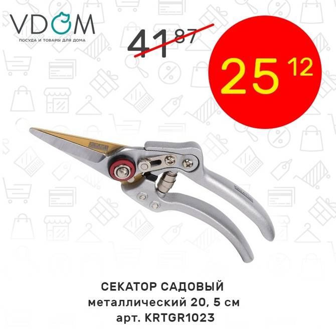 VDOM 3006 5