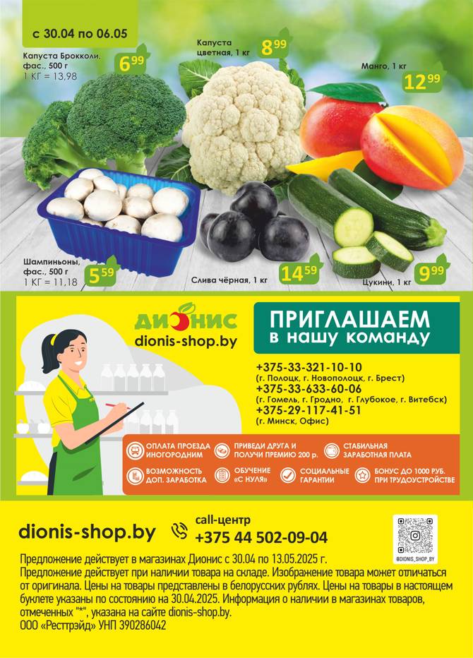 dionis 0505 08