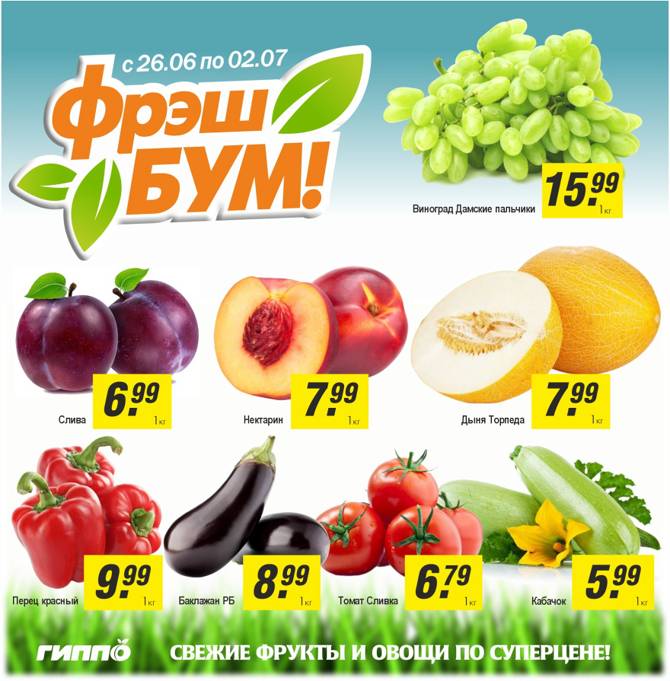 gippo 2906 03