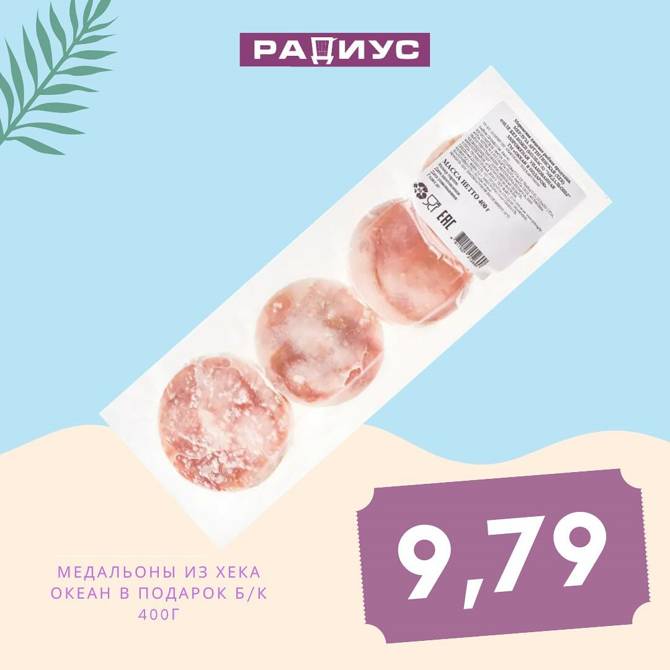 radius 0206 04